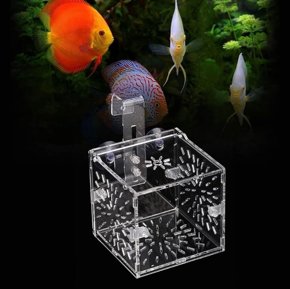 MagicalPet Aquarium Single Acrylic Breeding Isolation Fish Separation Breeder Box