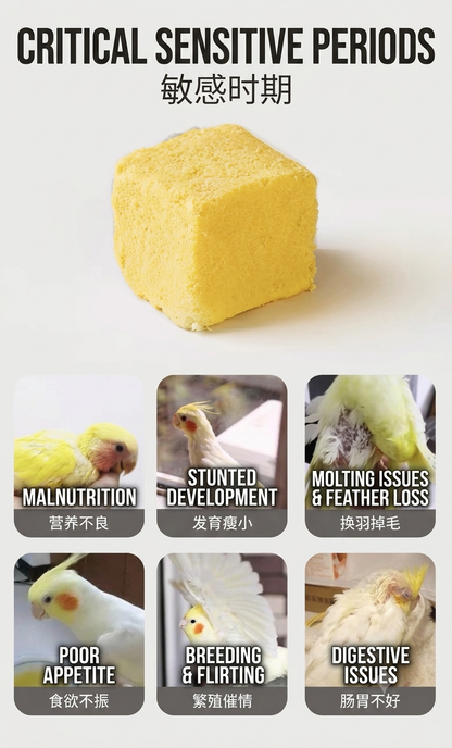 Yee Freeze-Dried Egg Yolk Cubes/100% Pure Egg Yolk Parrot Treat 60g