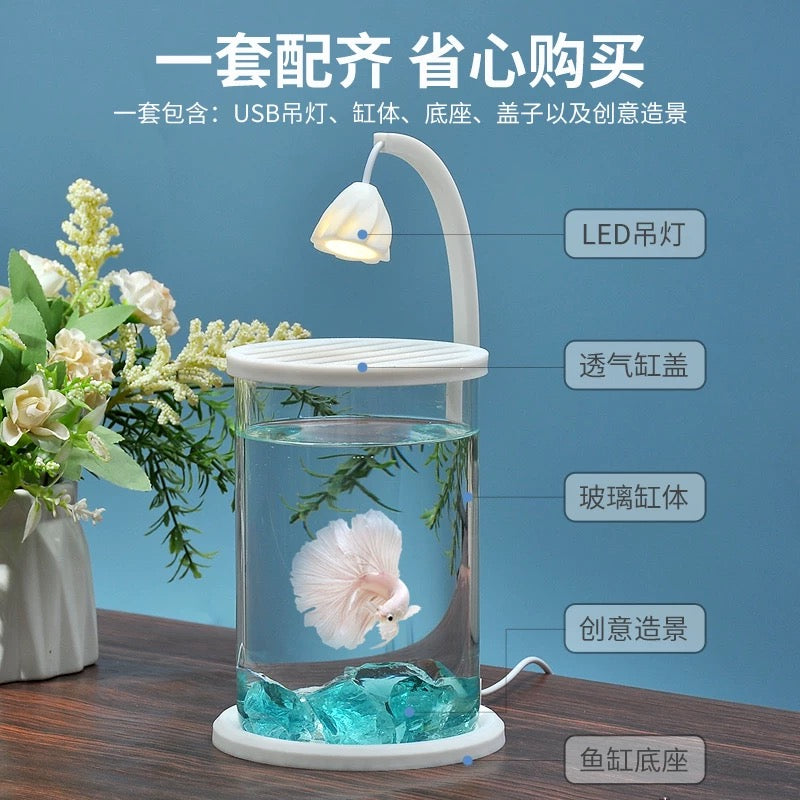 Small Fish Glass Tank With Light