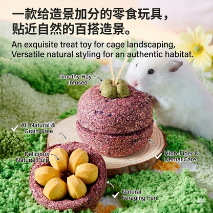 Yee Mangosteen-Shaped Hamster Foraging Chew Treat 150g
