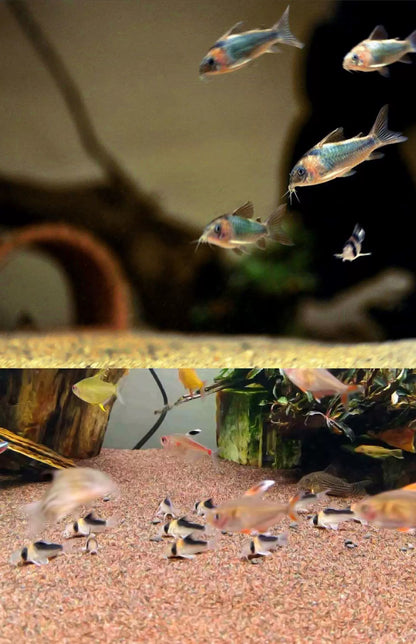 WANJIABABY Aquarium Seabed Natural Soft River Sand