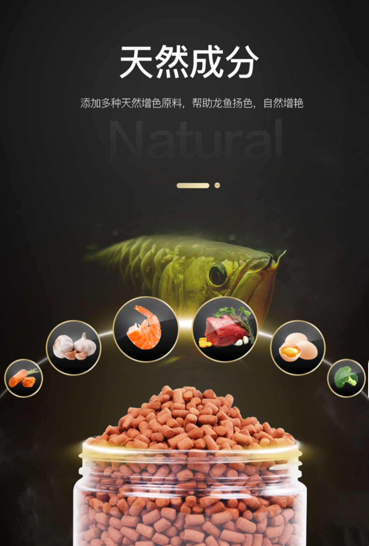 OF® Ocean Free Arowana Feed Aquarium Fish Food Granule Increase Color AR-G2