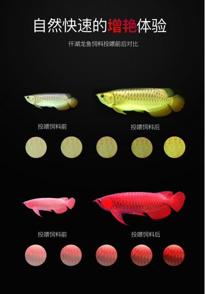 OF® Ocean Free Arowana Feed Aquarium Fish Food Granule Increase Color AR-G2