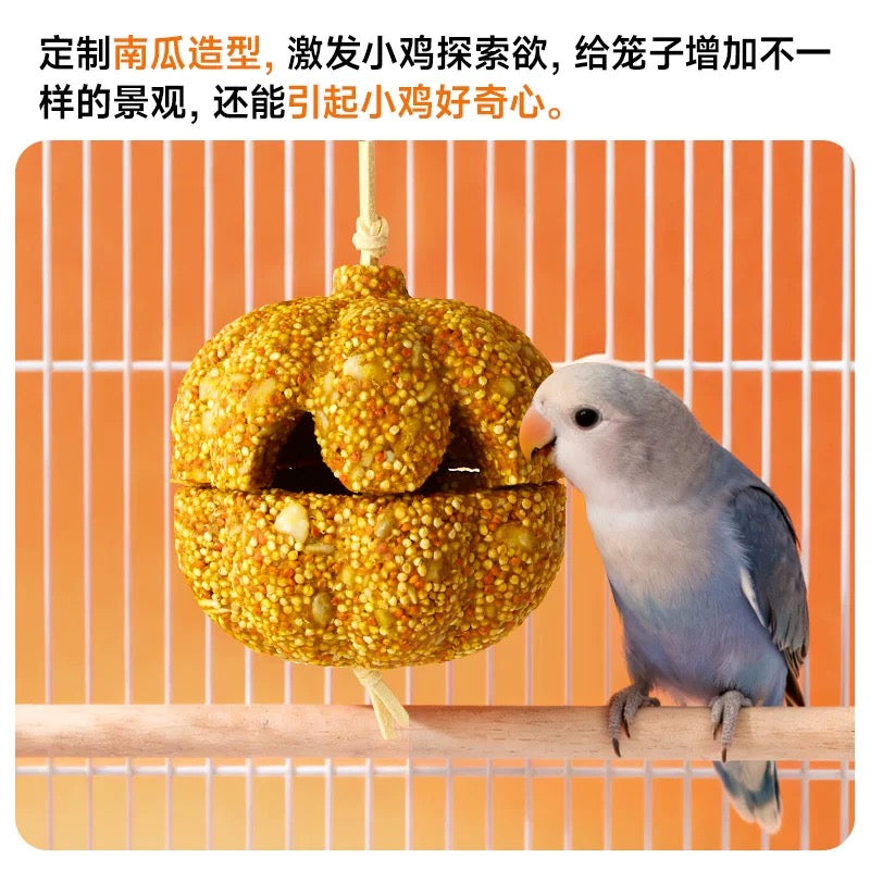 YEE Crispy Pumpkin Parrot Treat, Nutritious Beak Grinding Foraging Toy for Parakeets Cockatiels Lovebirds