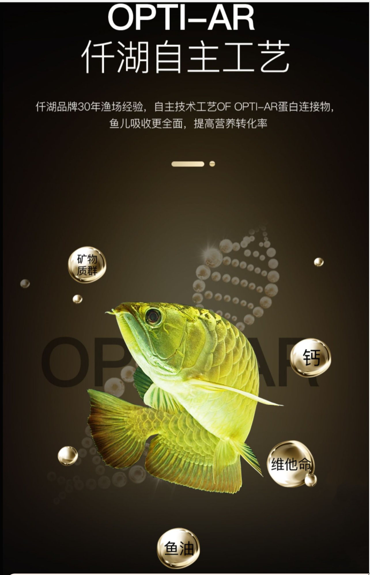 OF® Ocean Free Arowana Feed Aquarium Fish Food Granule Increase Color AR-G2