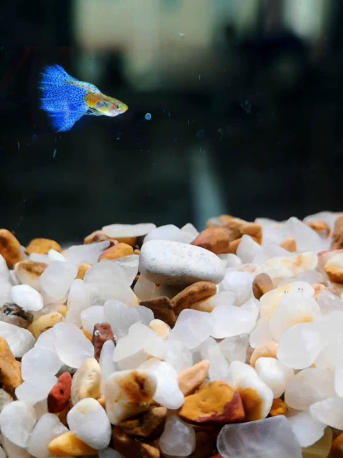 WANJIABABY Aquarium Seabed Crystal Stone Sand