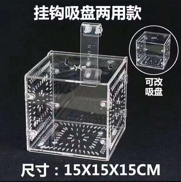 MagicalPet Aquarium Single Acrylic Breeding Isolation Fish Separation Breeder Box
