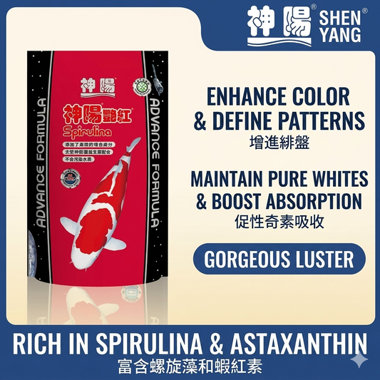 Shenyang Premium Koi Fish Food Color Enhancing Spirulina & Astaxanthin Pellets (1kg)