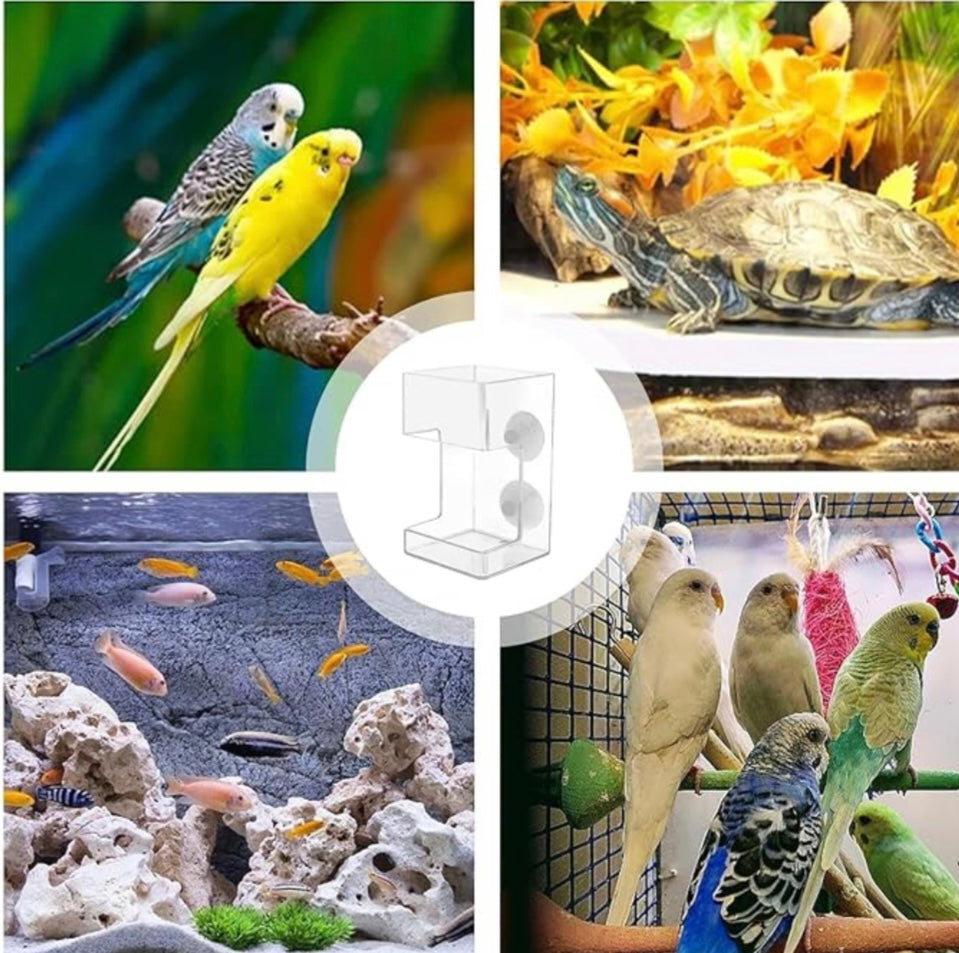 Magicalpets Aquarium Feeding Tray and Tube for Small Fish