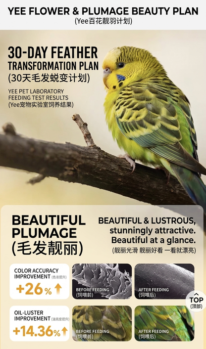 Yee Budgie Bloom Feather Seed Mix 8% Bee Pollen Premium Budgie Parrot Food