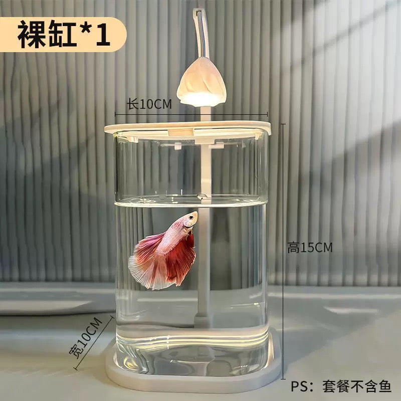 Small Fish Glass Tank With Light