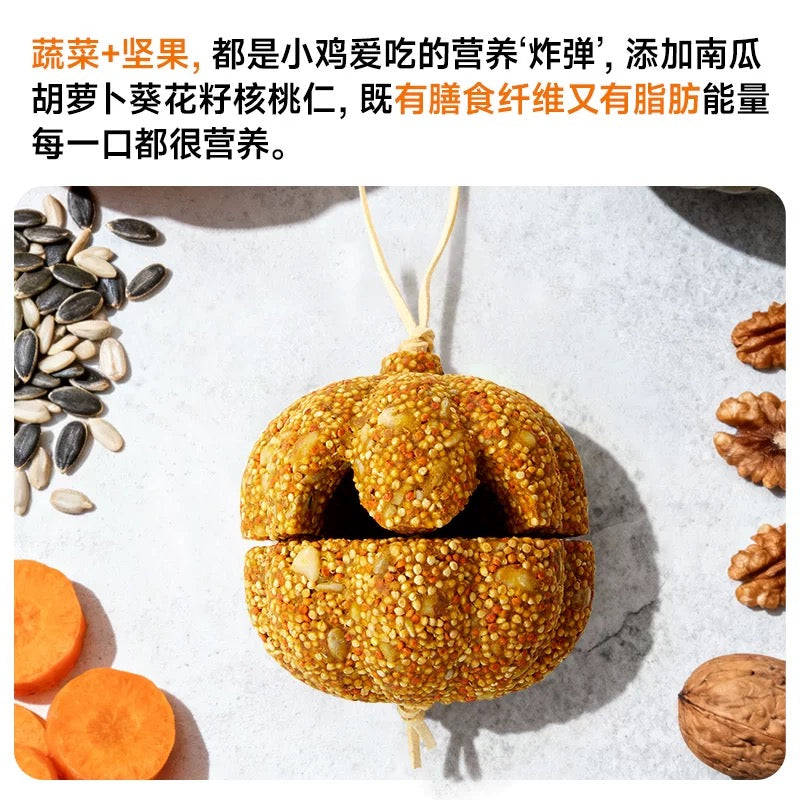 YEE Crispy Pumpkin Parrot Treat, Nutritious Beak Grinding Foraging Toy for Parakeets Cockatiels Lovebirds