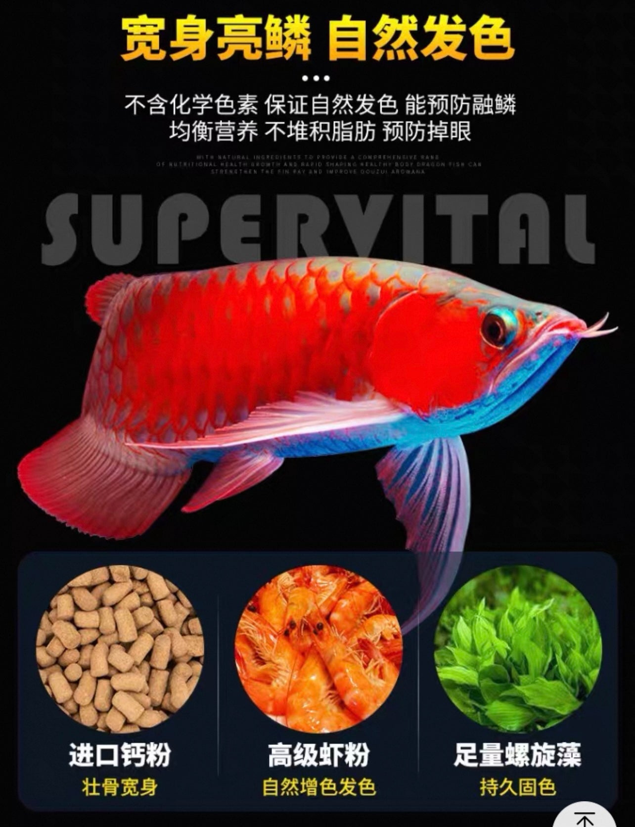 Supervital Professional Colorful Arwana Fish Food