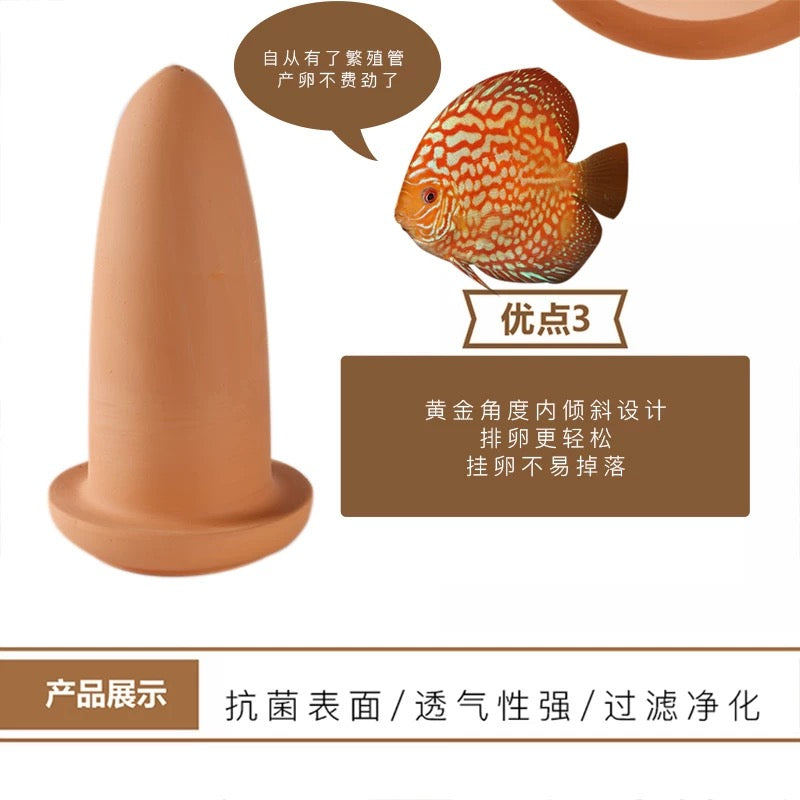 Magicalpets Aquarium Fish And Shrimp Breeding Cave