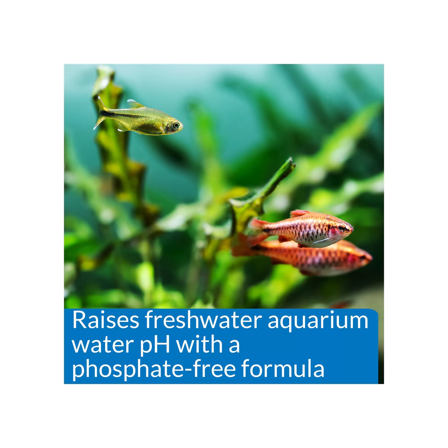 API® pH Up Adjuster Freshwater Aquarium Water Conditioner