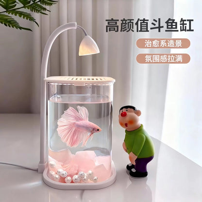Small Fish Glass Tank With Light