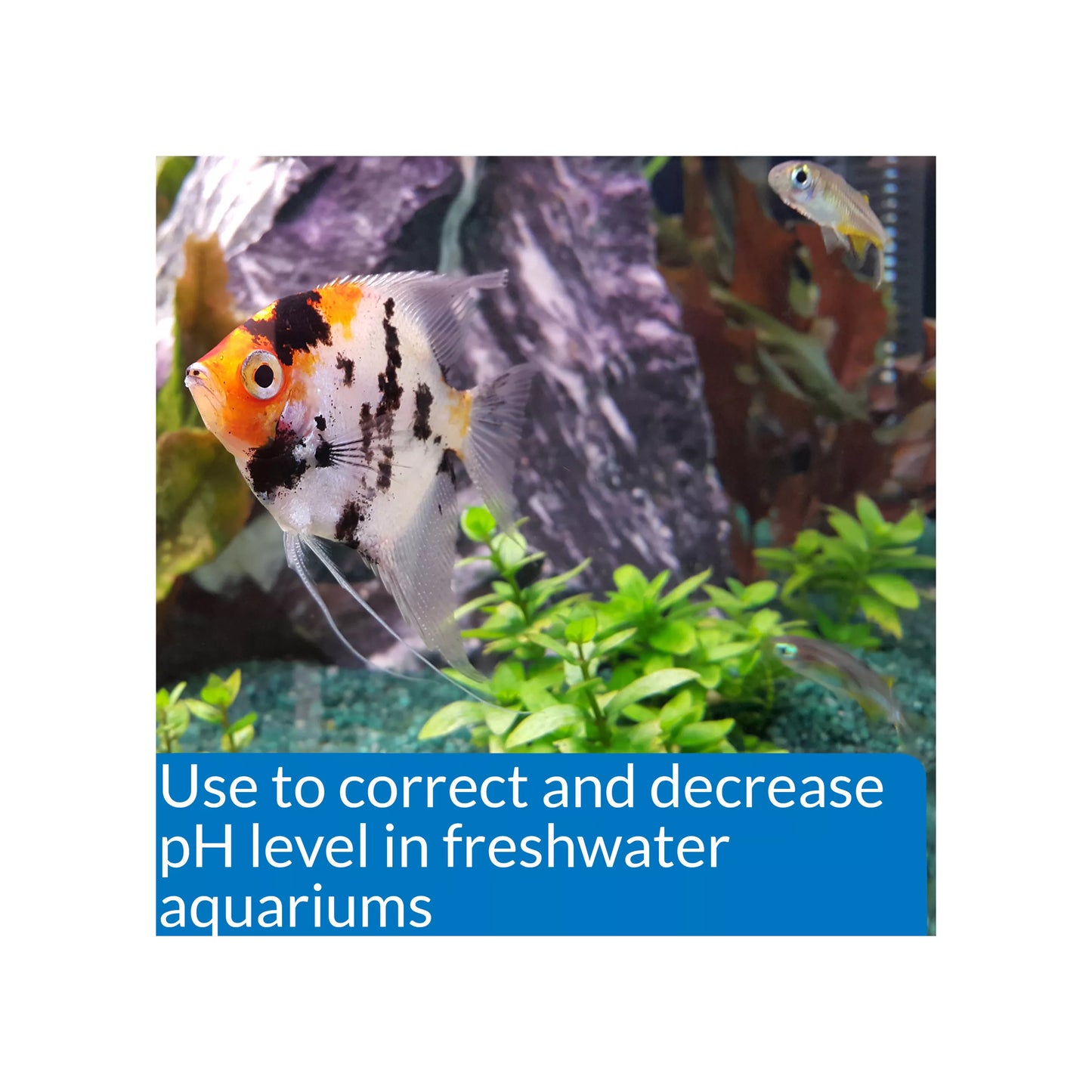 API® pH Down Adjuster Aquarium Water Conditioner