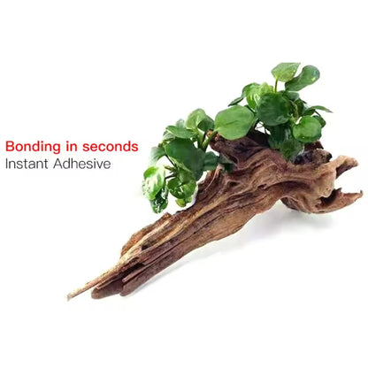 Aquascape Adhesive Quick-drying Aquarium Grass Coral Moss Instant Glue Fish Tank Accessories 50g/pc