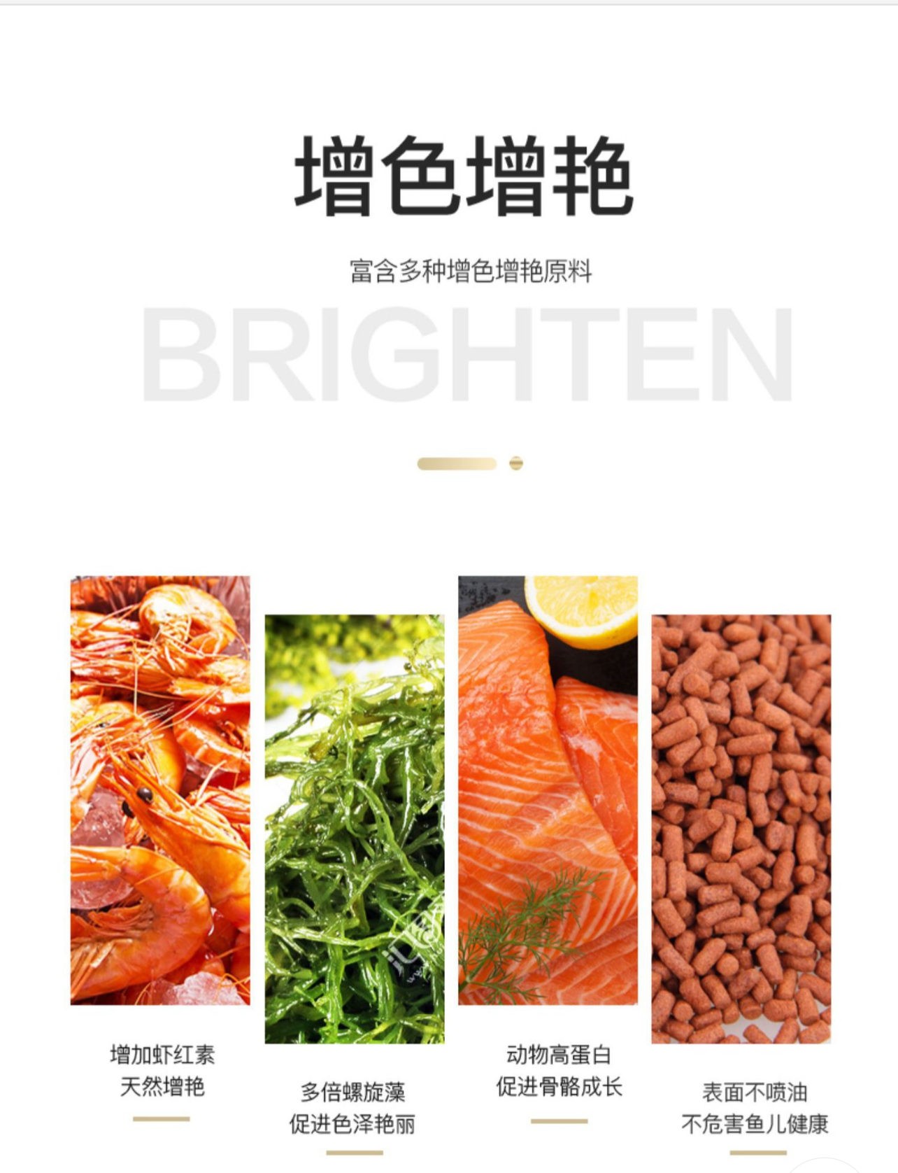 OF® Ocean Free Arowana Feed Aquarium Fish Food Granule Increase Color AR-G2