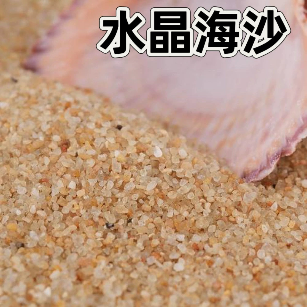 WANJIABABY Aquarium Seabed Marine Sand