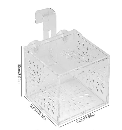 MagicalPet Aquarium Single Acrylic Breeding Isolation Fish Separation Breeder Box