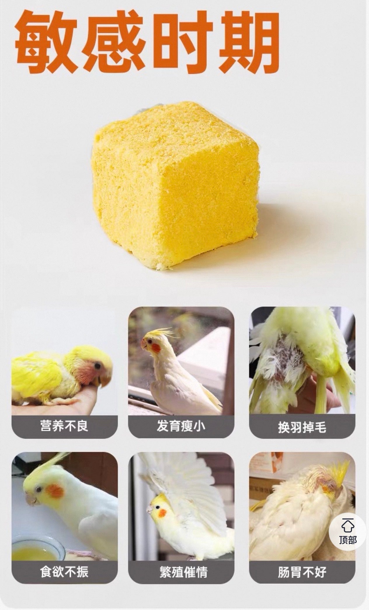 Yee Freeze-Dried Egg Yolk Cubes/100% Pure Egg Yolk Parrot Treat 60g