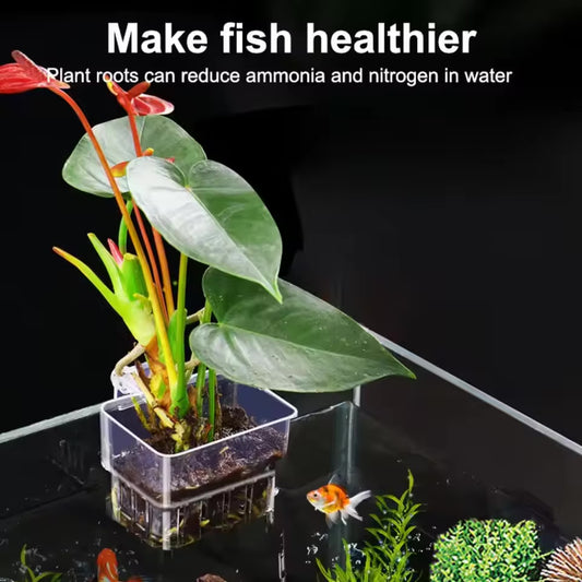 Magicalpets Aquarium Single Fish Tank Hydroponic Planting Basket