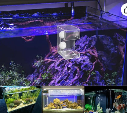 Magicalpets Aquarium Feeding Tray and Tube for Small Fish