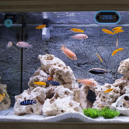 JIYIN LED Digital And Touch Screen Watar Temperature Gauge