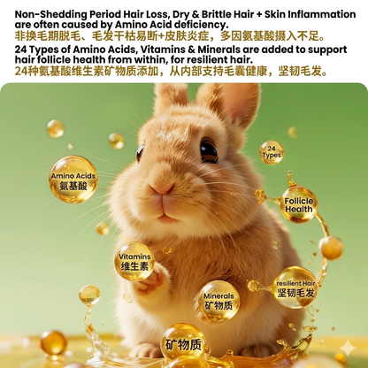 Yee Dual-Color Rabbit Coat Care Hay Blocks/Omega-3 Algae Oil Fur Health Chew Treats For Adult & Baby Rabbits 45g