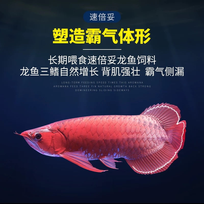 Supervital Professional Colorful Arwana Fish Food