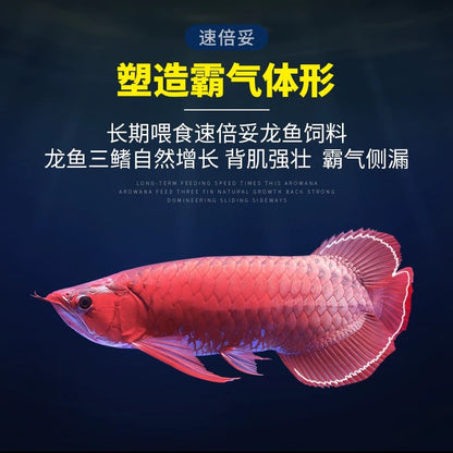 Supervital Professional Colorful Arwana Fish Food