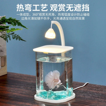Small Fish Glass Tank With Light