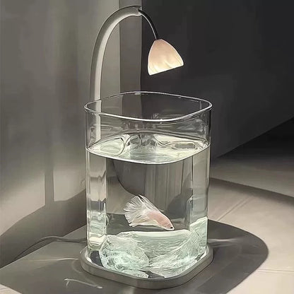 Small Fish Glass Tank With Light