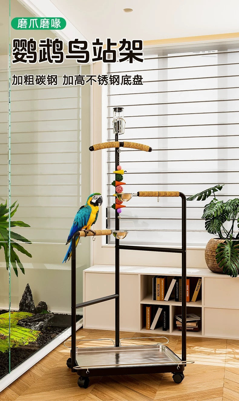 MagicalPets Stainless Steel Parrot Stand Large Bird Perch Stand