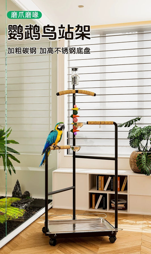 MagicalPets Stainless Steel Parrot Stand Large Bird Perch Stand