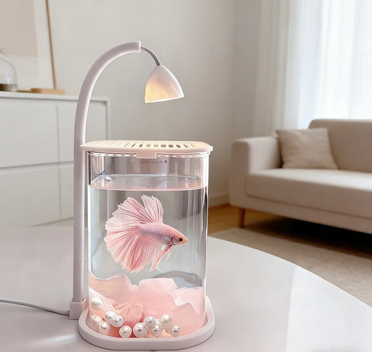 Small Fish Glass Tank With Light