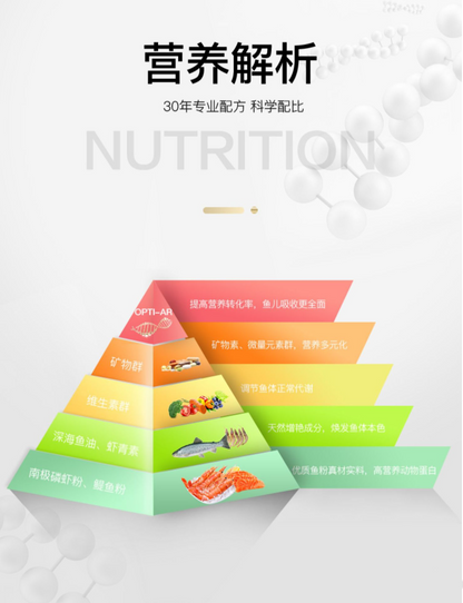 OF® Ocean Free Arowana Feed Aquarium Fish Food Granule Increase Color AR-G2